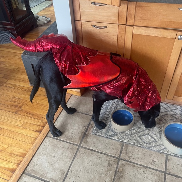 Meet your Posher, Nathan - Picture 1 of 1